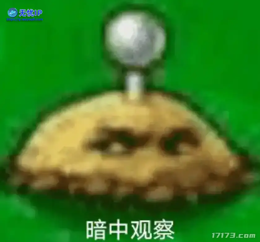 图片13.png