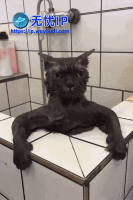 2024_0810_7ebe2b83g00shznzv01std0007e00b4m (1).gif