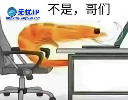 不是哥们.png