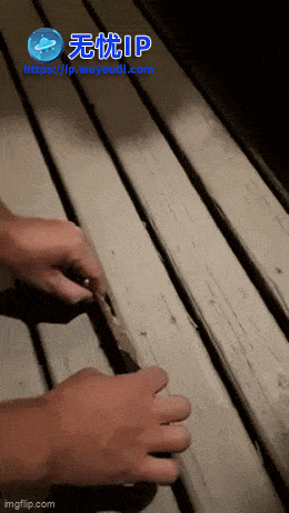 2024_0810_49bd672dg00shznzv01x9d0007800cum (1).gif