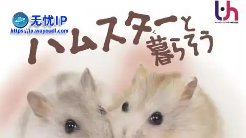 无忧IP支持哈姆太郎DS