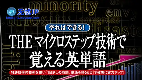 无忧IP支持Simple DS系列 第19辑：反复记忆背单词