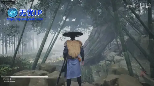 无忧IP支持锦衣卫