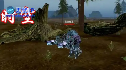 无忧IP支持时空